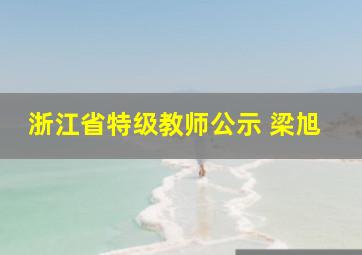 浙江省特级教师公示 梁旭